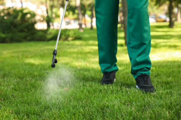 Trusted Horizon City, TX Pest Control Experts