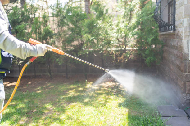 Best Pest Control for Homes  in Horizon City, TX